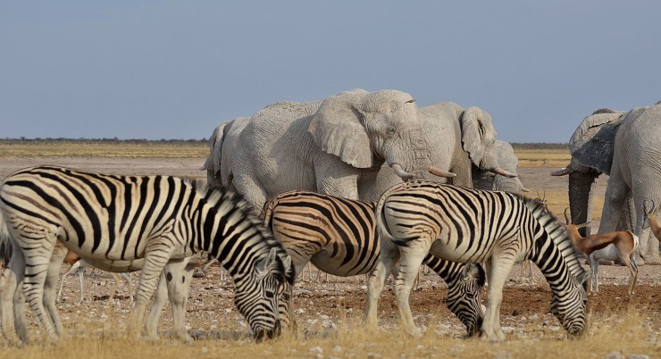 Namibie